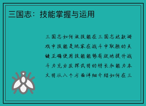 三国志：技能掌握与运用